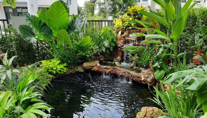 Arrange a waterfall garden around the house